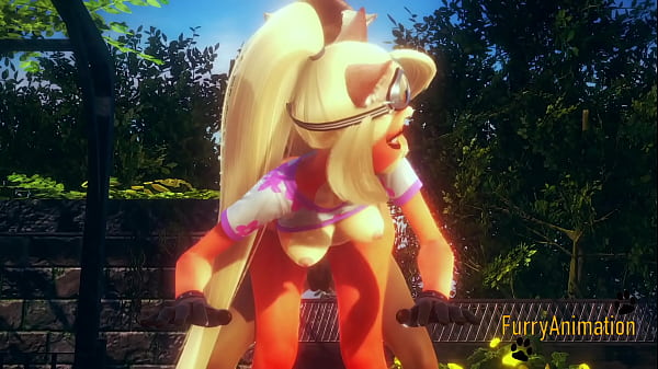 Crash Bandicoot Furry Hentaï