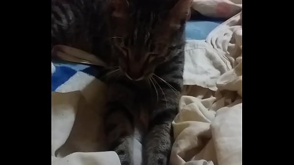 Un dia normal avec mon khalifa